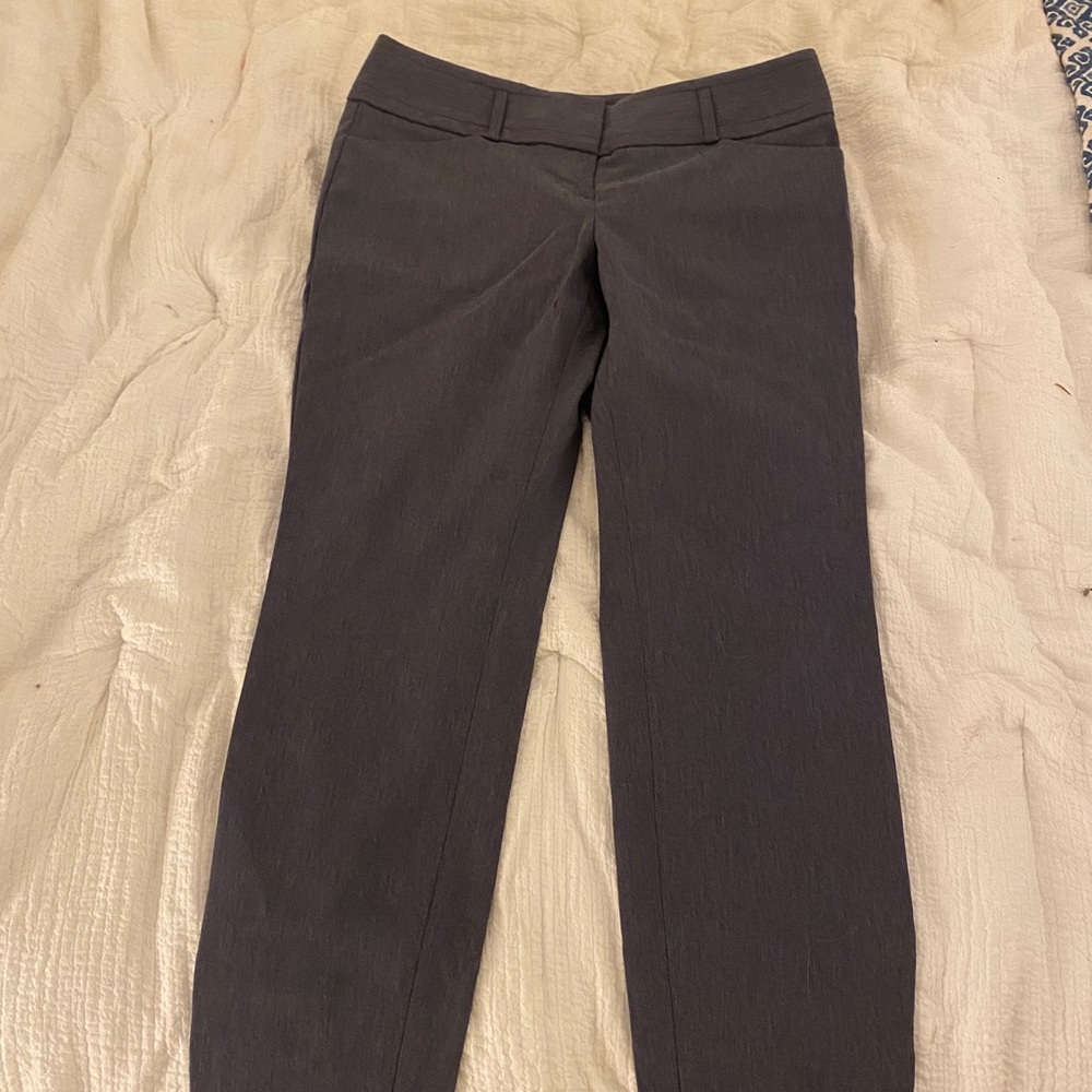 The Limited Exact Stretch Dress Pants